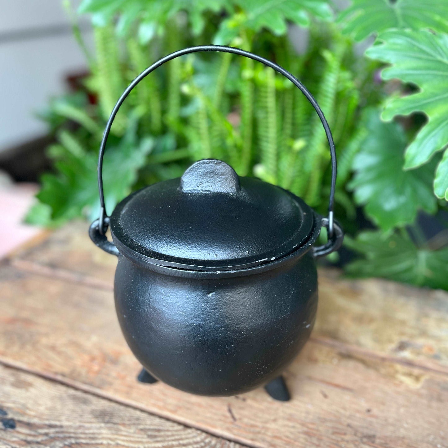 8 inch Cast Iron Cauldron with Lid