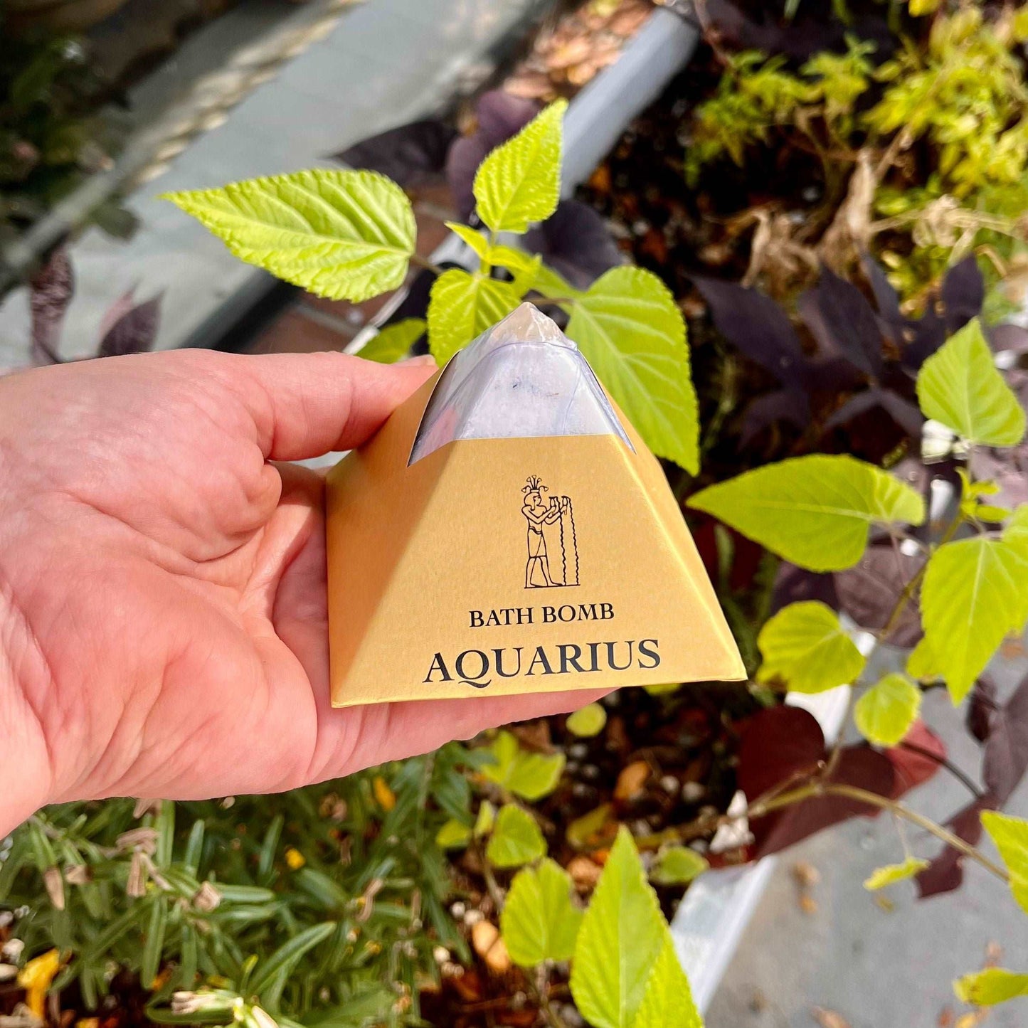 Elevate your bath experience with our Aquarius Bath Bomb. Infused with a harmonious blend of organic essential oils including Geranium, Cedar, and Grapefruit, this bath bomb is designed to resonate with the Aquarian spirit. Immerse yourself in the uplifting scents and nourishing ingredients, allowing them to invoke a sense of balance, positivity, and well-being. Let the soothing waters envelop you in a rejuvenating experience.