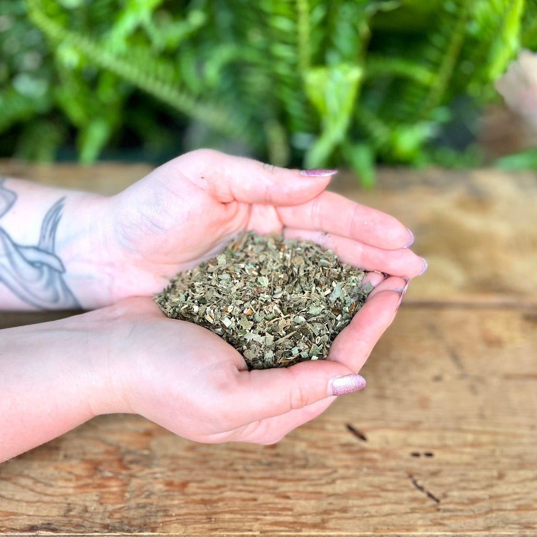 goat weed plant seeds 1oz Horny Goat Weed – Magic Fairy Candles