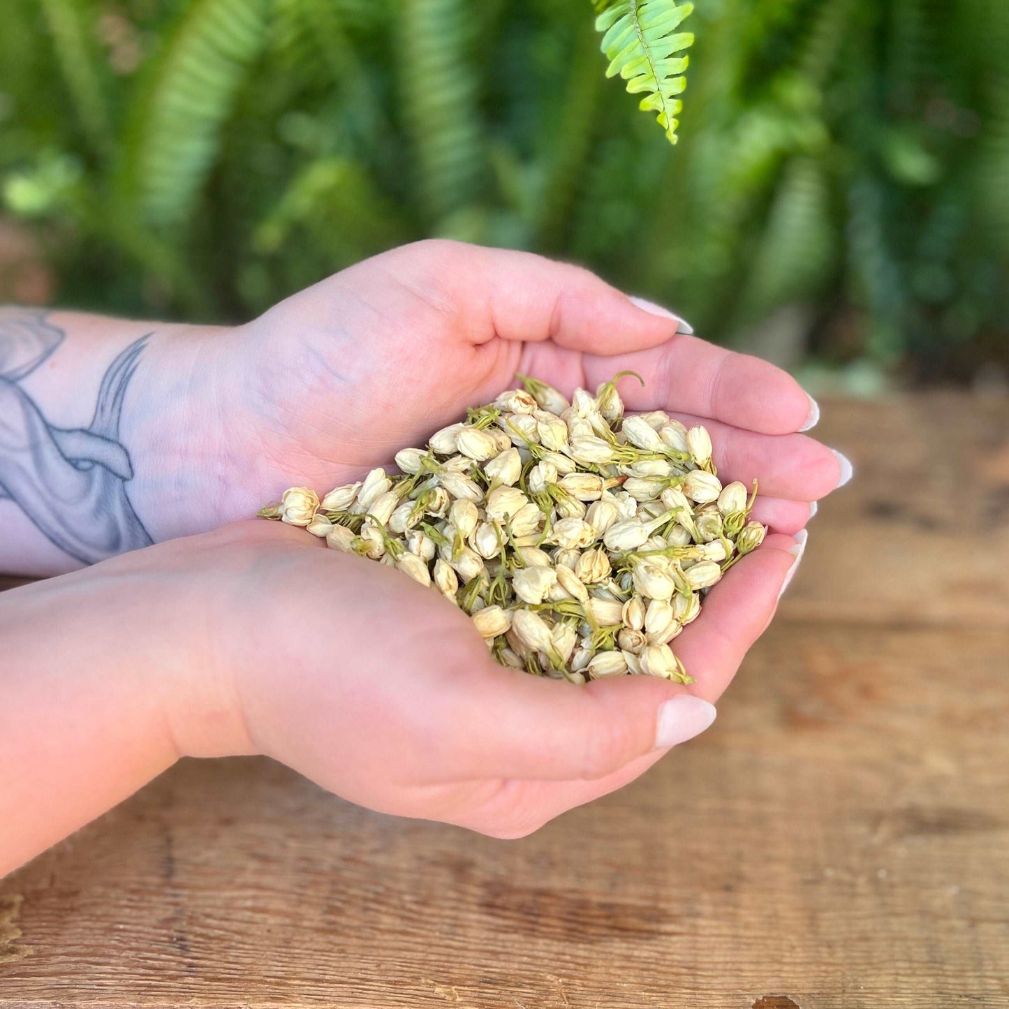 1 ounce Organic Jasmine Flowers - Add a touch of floral elegance to your herbal blends with organic Jasmine Flowers. Beyond their aromatic allure, Jasmine Flowers are believed to bring love, romance, and positive vibes. Immerse yourself in the organic beauty of Jasmine Flowers.