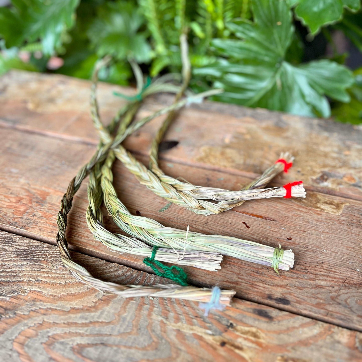 Invite the purifying and sacred energy of Sweet Grass into your space with our 10-inch Sweet Grass Braid. Traditionally used for smudging and ceremonies, this handcrafted braid brings a sense of peace and positivity, making it a wonderful addition to your spiritual practices and rituals.