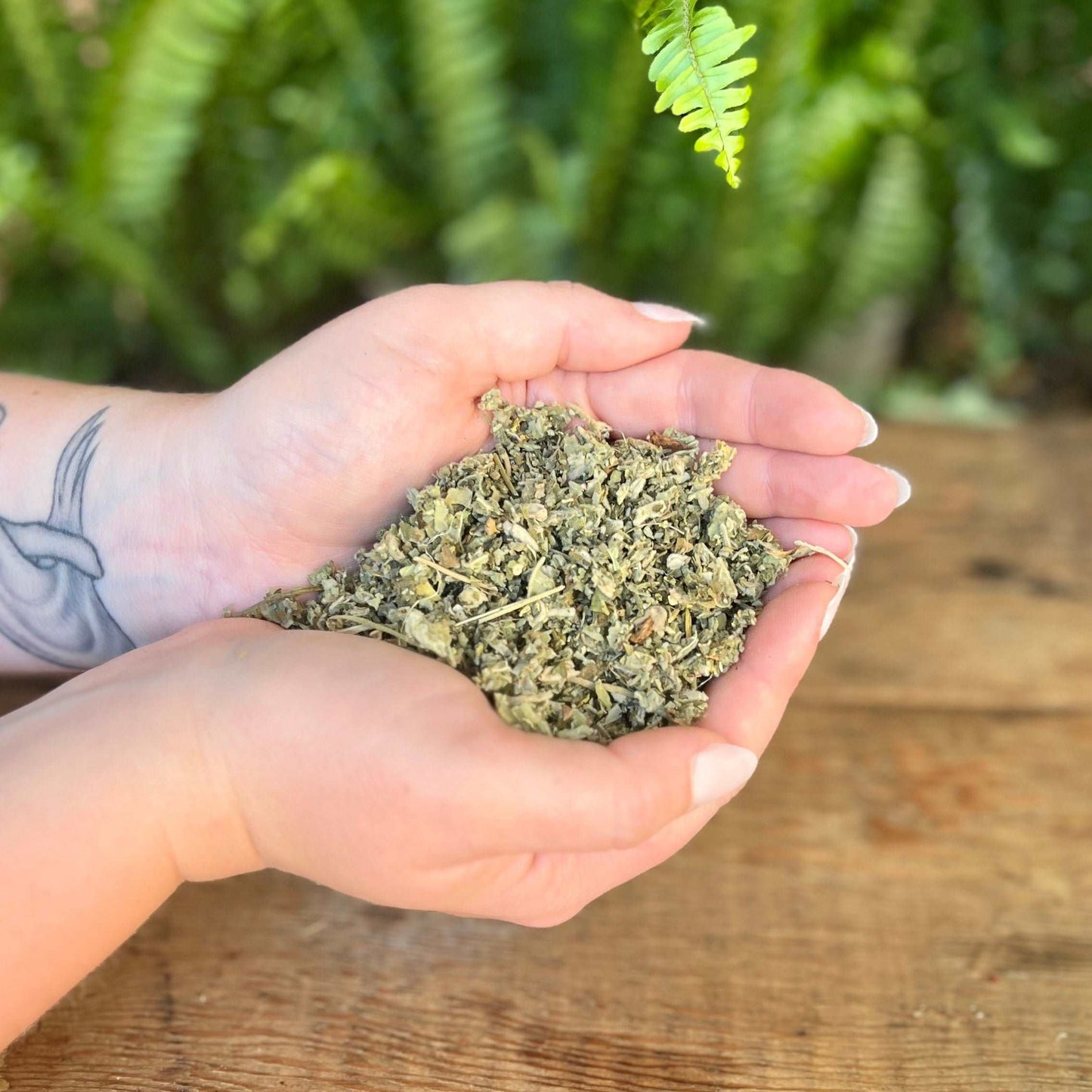 1 ounce Organic Marshmallow Leaf - Explore the gentle properties of organic Marshmallow Leaf. Known for its traditional uses, Marshmallow Leaf is believed to bring mild soothing effects, respiratory support, and promote overall well-being. Immerse yourself in the organic gentleness of Marshmallow Leaf.