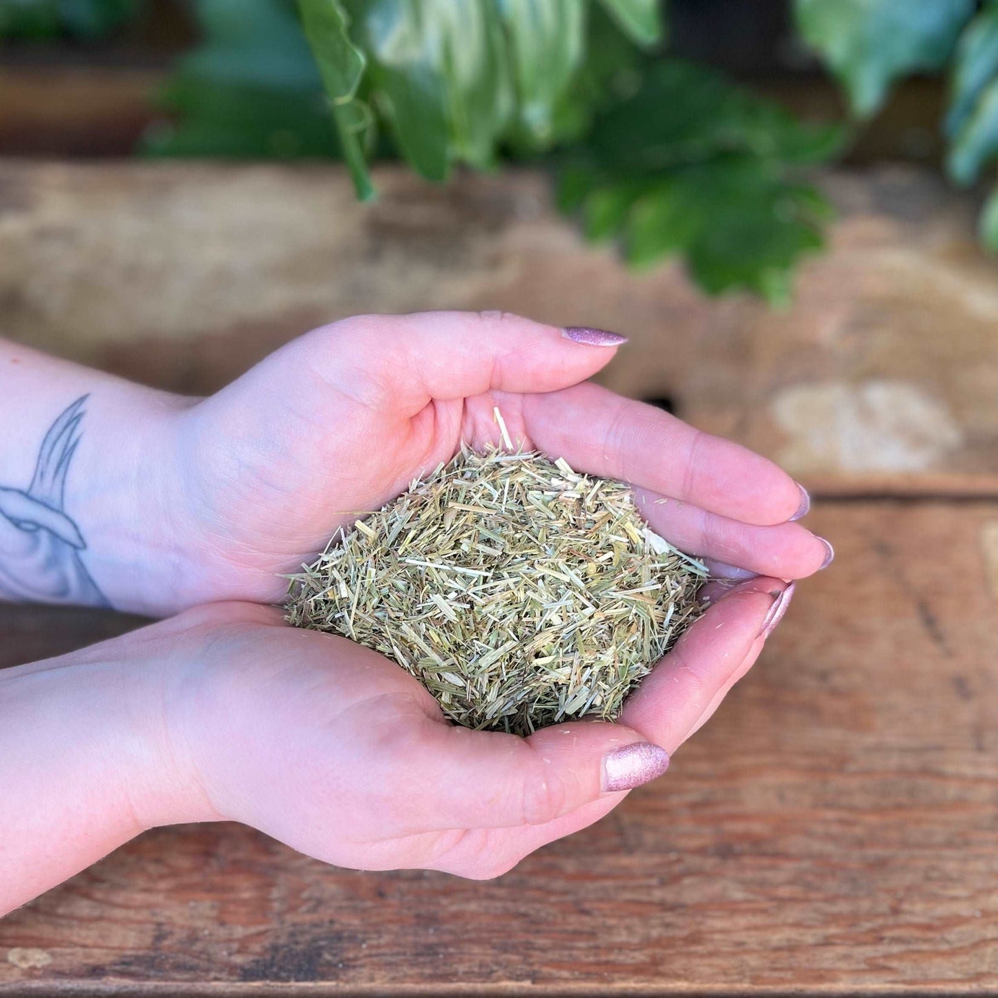 1 ounce Organic Oatstraw - Nourish your body with the organic goodness of Oatstraw. Known for its traditional uses, Oatstraw is believed to bring nervous system support, vitality, and promote overall well-being. Immerse yourself in the organic nourishment of Oatstraw.