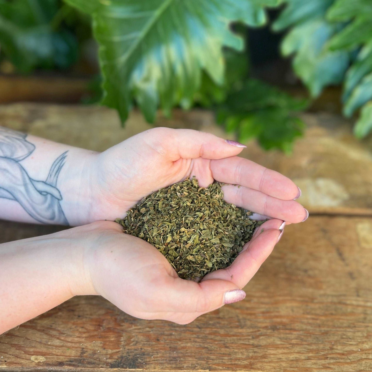 1 ounce Organic Peppermint - Invigorate your senses with the organic freshness of Peppermint. Revered for its traditional uses, Peppermint is believed to bring digestive support, mental clarity, and promote overall well-being. Immerse yourself in the organic invigoration of Peppermint.