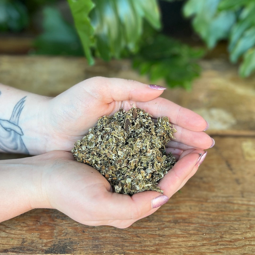 1 ounce Organic Raspberry Leaf - Nourish your body with the organic benefits of Raspberry Leaf. Revered for its traditional uses, Raspberry Leaf is believed to bring uterine support, balance, and promote overall well-being. Immerse yourself in the organic nourishment of Raspberry Leaf.