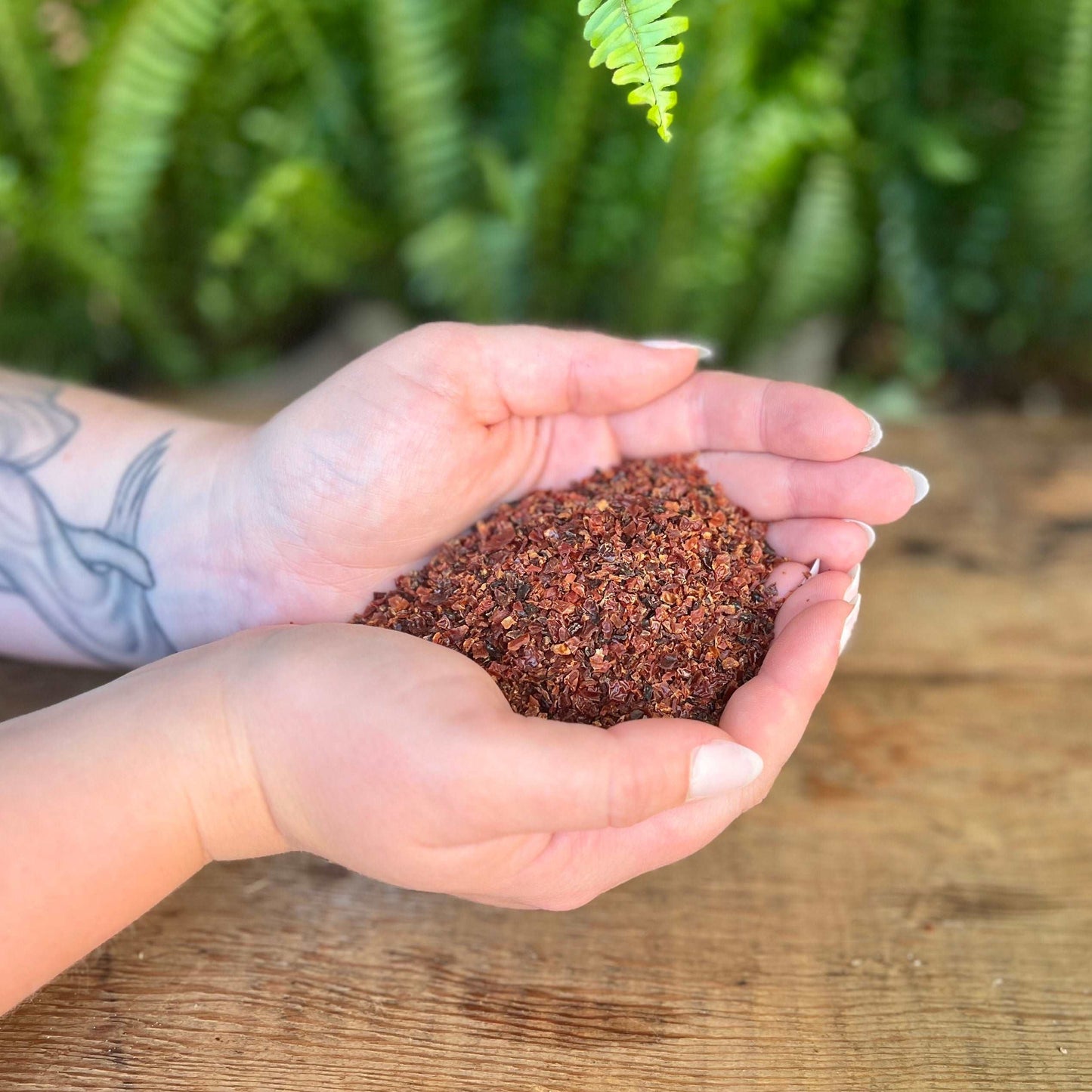 1 ounce Organic Rosehips - Nourish your body with the organic goodness of Rosehips. Revered for their traditional uses, Rosehips are believed to bring vitamin C, immune support, and promote overall well-being. Immerse yourself in the organic nourishment of Rosehips.