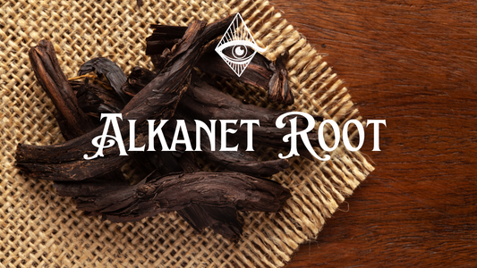 Unlock the Mysteries of Alkanet Root: Nature's Gift for Your Spiritual Journey