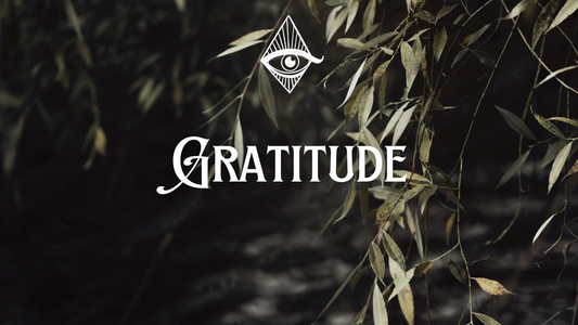 The Transformative Power of Gratitude