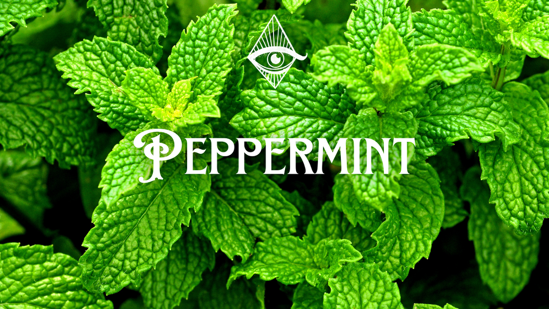 Exploring Peppermint: Its History and Metaphysical Wonders