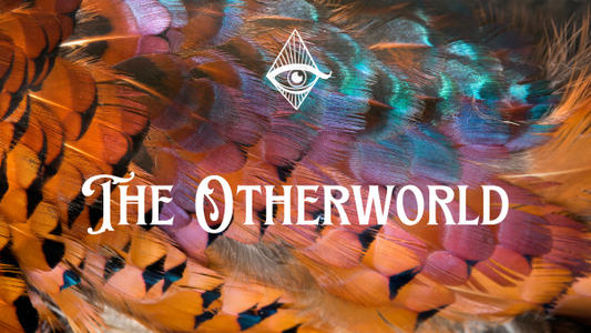 Unveiling the Otherworld