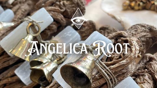 Exploring the Sacred Essence of Angelica Root: An Ancient Ally for Your Spiritual Journey