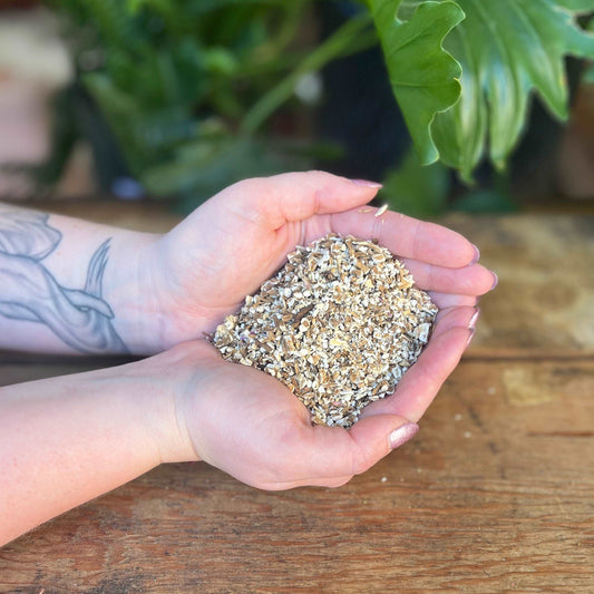 1 ounce Organic Dandelion Root - Elevate your herbal collection with organic Dandelion Root. Beyond its earthy flavor, Dandelion Root is believed to bring luck, enhance divination, and promote overall well-being. Immerse yourself in the organic richness of Dandelion Root.