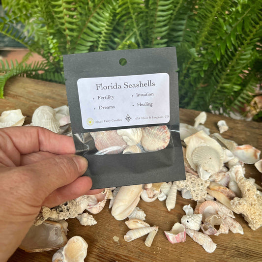 Florida Sea Shells