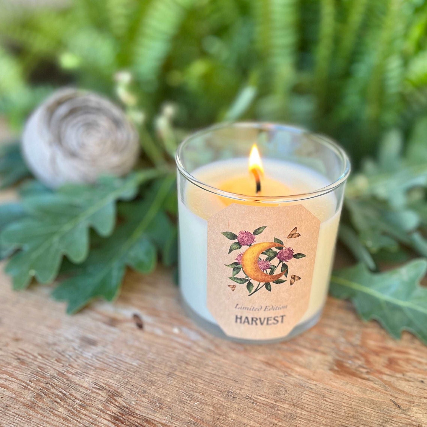 8.5 oz Natural GMM-Free Soy Wax Harvest Candle: Embrace Autumn's Bounty with Organic Apricot, Fig, & Sandalwood Essential Oils