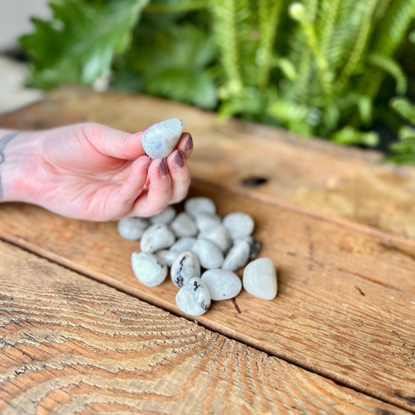 Rainbow Moonstone Tumbled Crystal - Dance in the magical hues of Rainbow Moonstone. Revered for its ethereal glow, this crystal is believed to enhance intuition and bring balance. Embrace the enchanting energies of Rainbow Moonstone.